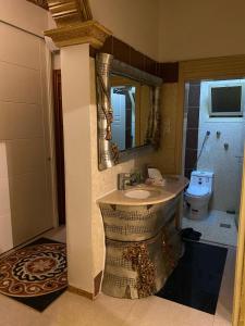 a bathroom with a sink and a toilet at الينبوع الأخضر in Medina +32 photos