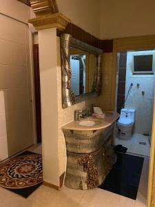 a bathroom with a sink and a toilet at الينبوع الأخضر in Al Madinah