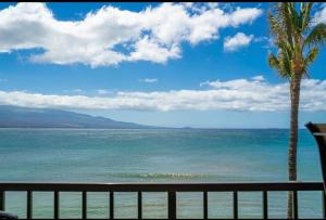 a view of the ocean with a fence and a palm tree at Kanai A nalu in Wailuku