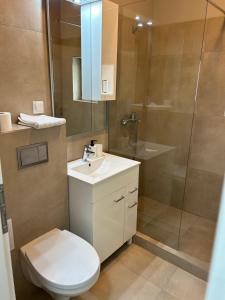 a bathroom with a shower and a toilet and a sink at New House 2 in Sibiu