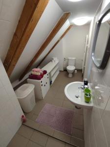 uma casa de banho com um lavatório e um WC em Apartmán Donská em Liberec