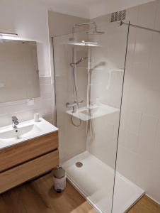ein Bad mit einer Dusche und einem Waschbecken in der Unterkunft Le Panoramique - T2 46m² - Proche centre-ville et gare in Perpignan