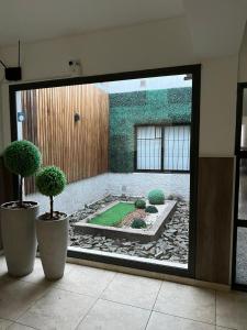 Blick auf einen Garten mit zwei Topfbäumen in einem Zimmer in der Unterkunft Rivadavia Departamentos in Mendoza