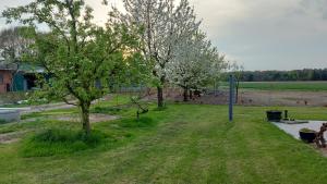 a park with trees in the grass and a field at Hühnerhof-Röhrs in Schneverdingen +8 photos