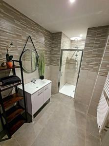 a bathroom with a shower and a sink and a mirror at Gite de la grange 14 couchages in Saint-Amand-Montrond