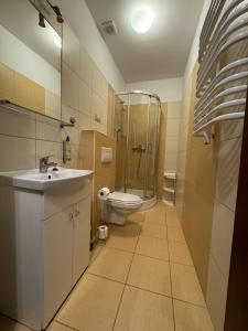a bathroom with a shower and a sink and a toilet at IRIS Aparthotel in Krakow
