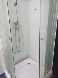 a shower with a glass door in a bathroom at Sveciu namai in Vikedal