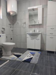 Vonios kambarys apgyvendinimo įstaigoje Apartman Gajić