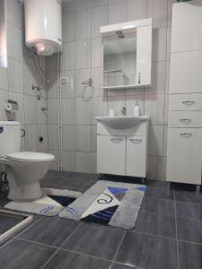 Kopalnica v nastanitvi Apartmanii Gajić + 16 fotografij