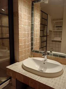 a bathroom with a sink and a mirror at Mas de la Tour Carbonnière in Aigues-Mortes