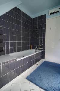 La Milesse的住宿－Maison des bois - La pause des 24 heures du Mans，带浴缸和蓝色地毯的浴室