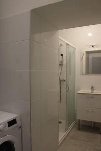 a white bathroom with a shower and a washing machine at La terrasse du JULES in Romans-sur-Isère