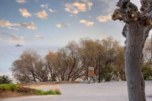 a tree with a sign next to a body of water at Polytelia Apartment Karystos in Karistos