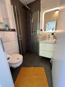 Koupelna v ubytování Hausboot Stöckte