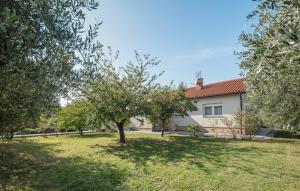 a house with a tree in a yard at Villa Viktoria poll&garden view in Kaštelir