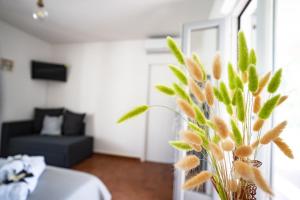 TV a/nebo společenská místnost v ubytování Casa Mimi