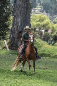 człowiek jeżdżący na koniu na polu w obiekcie ART HOUSE Hacienda San Antonio w mieście Cajamarca