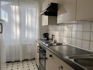 uma cozinha com um lavatório e uma bancada em Charmantes Apartment inmitten Zürich-Affoltern & Netflix! em Zurique