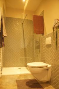 een badkamer met een douche, een toilet en een douche bij B&B de Blauwververij in Blitterswijck