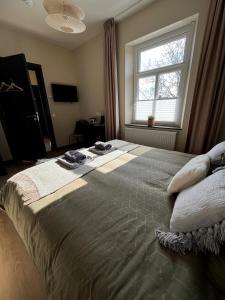 een slaapkamer met een groot bed en een raam bij B&B de Blauwververij in Blitterswijck