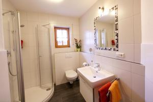 a bathroom with a sink and a shower and a toilet at Ferienwohnungen auf dem Paulbauernhof in Triebenbach