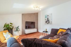 Μια τηλεόραση ή/και κέντρο ψυχαγωγίας στο Apartments LiJan