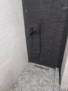 a shower with a shower head in a bathroom at BIANCA Studio Eforie Nord in Eforie Nord