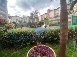un jardin avec des fleurs, un palmier et des bâtiments dans l'établissement Flat 120 / Veredas / 300m2 HotPark, à Rio Quente
