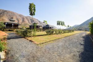 uma estrada de terra com uma casa e palmeiras em OYO Green Valley Resort em Pushkar