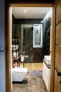 een badkamer met een toilet, een wastafel en een spiegel bij Apartamenty TRIO in Muszyna