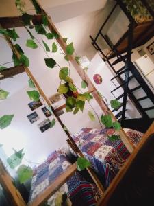Zimmer mit 2 Betten und einer Pflanze an der Wand in der Unterkunft New Loft cerca de la Virgen del cerro in Salta + 3 Fotos