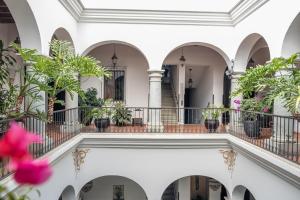 a view of therium of a building with plants at Hotel Boutique Naura Centro in Oaxaca City