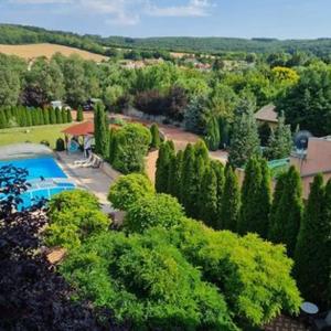 an aerial view of a yard with a pool and trees at Penzión Pulse in Podhájska