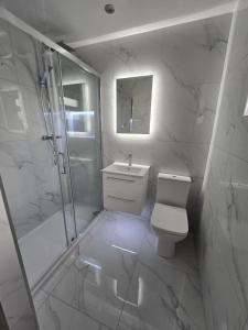 a bathroom with a toilet and a shower and a sink at Beautiful maisonette in Leeds