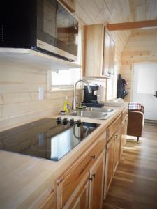 a kitchen with a sink and a counter top at Lucky Guesthouse in Trapper Creek