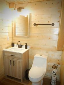 a bathroom with a toilet and a sink at Lucky Guesthouse in Trapper Creek