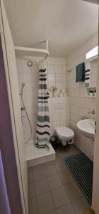 La salle de bains est pourvue d'une douche, de toilettes et d'un lavabo. dans l'établissement Urban Studio City, à Fribourg