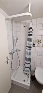 La salle de bains est pourvue d'une douche avec rideau de douche. dans l'établissement Urban Studio City, à Fribourg