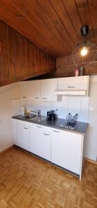 a kitchen with white cabinets and a sink at Urban Studio City in Fribourg