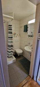La salle de bains est pourvue de toilettes et d'un lavabo. dans l'établissement Urban Studio City, à Fribourg