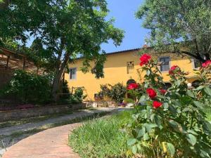 a yellow house with red roses in front of it at Casa del Lecceto in Campiglia Marittima