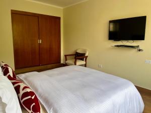 1 dormitorio con 1 cama y TV de pantalla plana en Roma, en Lima