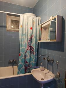 a bathroom with a sink and a shower curtain at Barcelona Apartments in Tivat