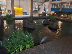 a pond in the middle of a building with rocks in it at Luxury Modern Central London - London Bridge - Westminster - 2 Bed Stylish Apartment in London