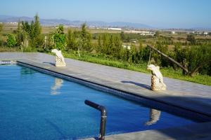 two animal statues sitting on the edge of a swimming pool at jnan Lemonie in Asilah