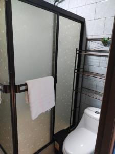 a bathroom with a toilet and a glass shower stall at Mini casa, Vara Blanca in Heredia