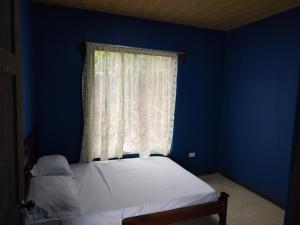 een bed in een blauwe kamer met een raam bij Mini casa, Vara Blanca in Heredia