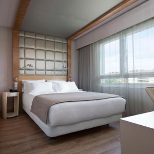 聖塞巴斯提安的住宿－柯萊克申聖塞巴斯蒂安阿蘭扎祖NH酒店，一间卧室设有一张大床和一个大窗户