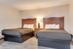 a hotel room with two beds and a lamp at Suburban Studios near Mesa Verde in Cortez