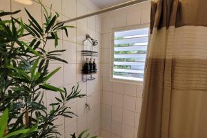 La salle de bains est pourvue d'une douche, d'une fenêtre et d'une plante. dans l'établissement Naguabo Renovated Property - Cozy Apartment, à Naguabo